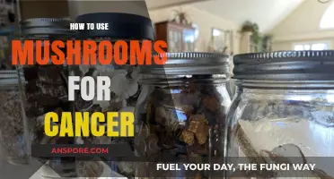Harnessing Mushroom Power: Natural Strategies for Cancer Support and Healing