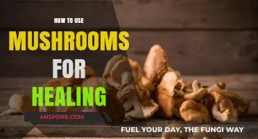 Unlocking Nature's Pharmacy: Healing with Medicinal Mushrooms Guide