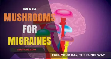 Mushrooms for Migraines: Natural Relief Strategies and Usage Guide