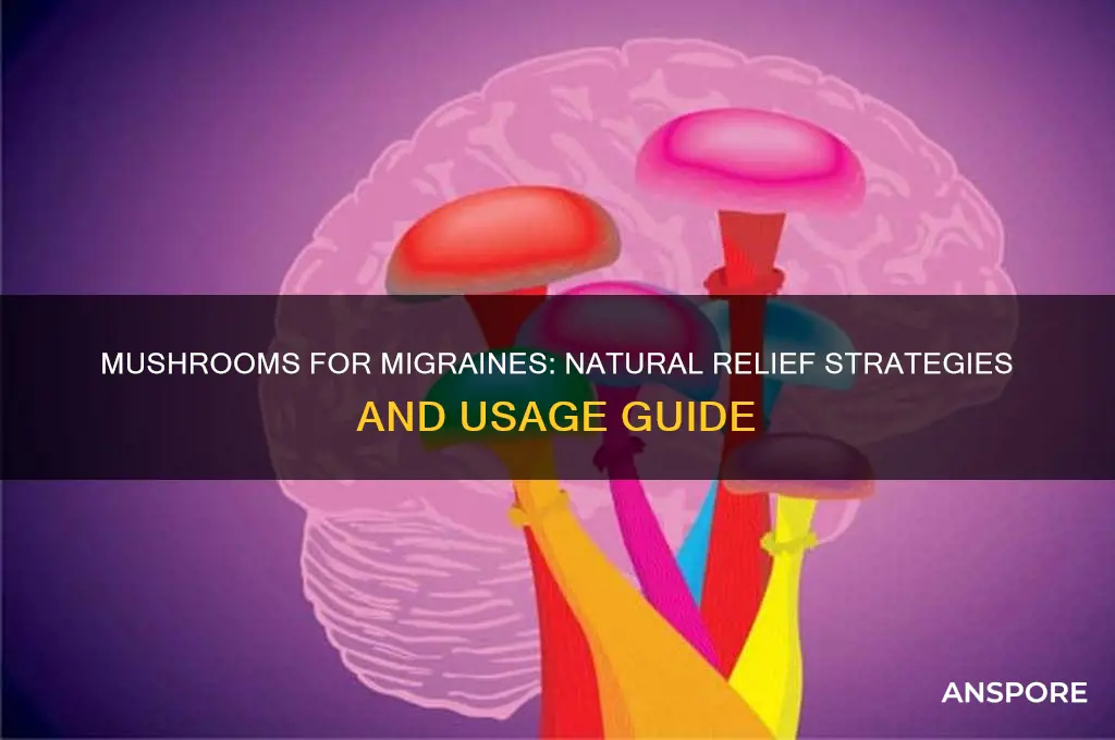 how to use mushrooms for migraines