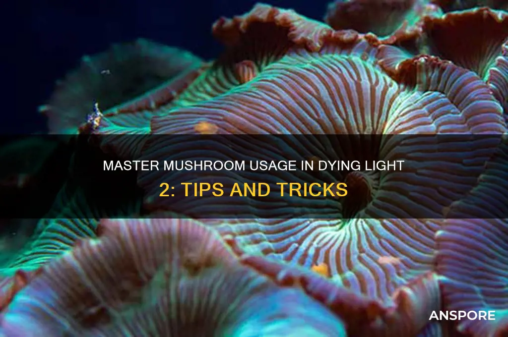 how to use mushrooms in dying light 2