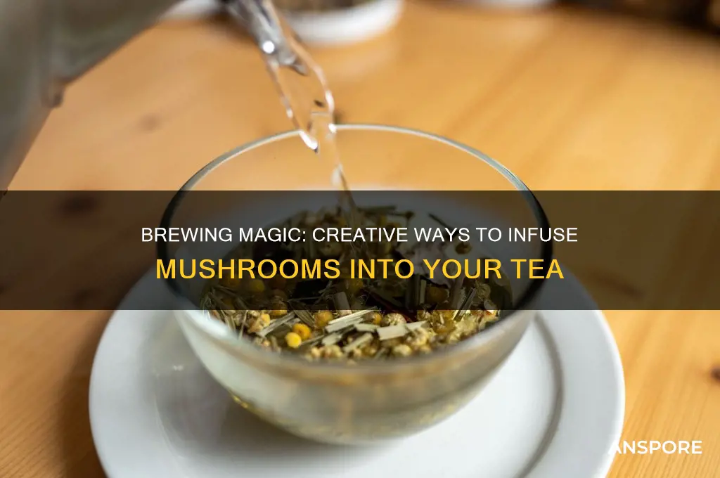 how to use mushrooms in tea