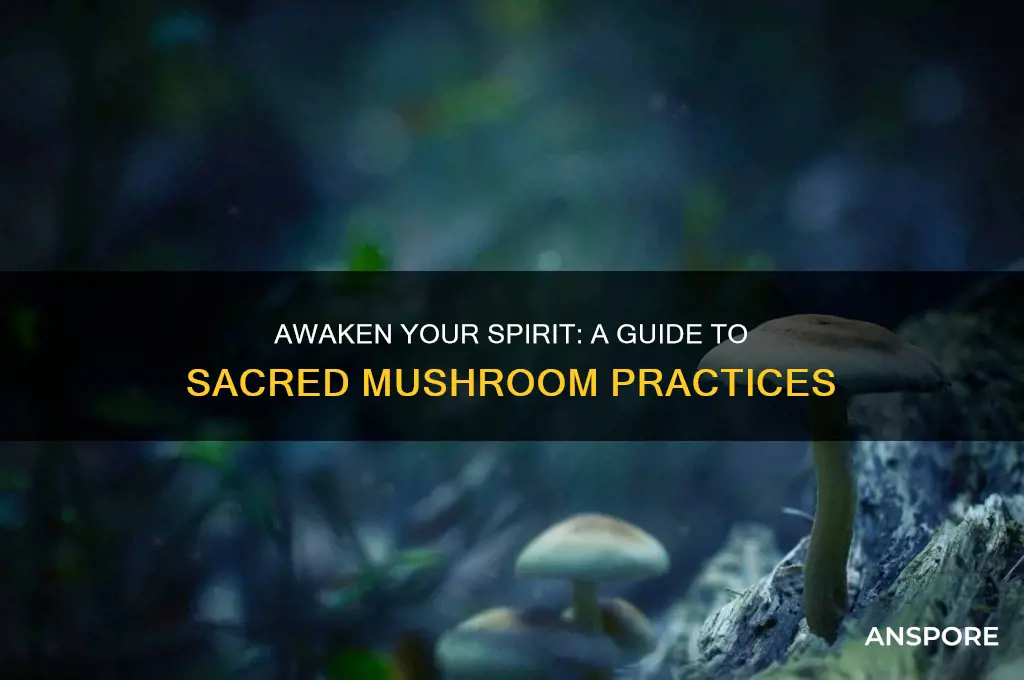 how to use mushrooms spiritually