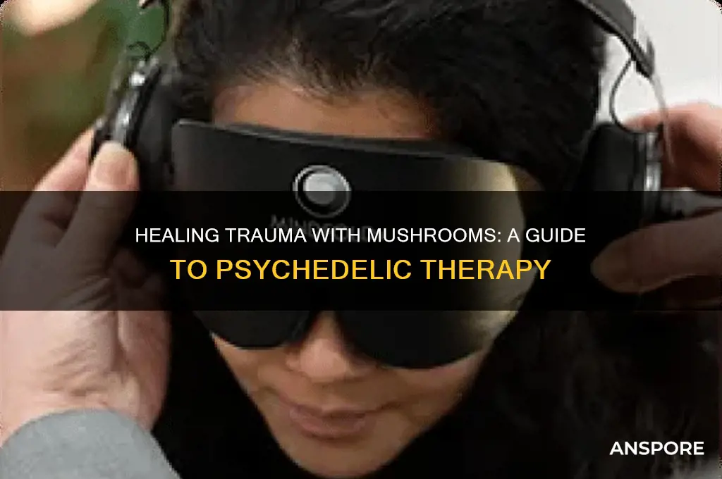 how to use mushrooms to heal trauma