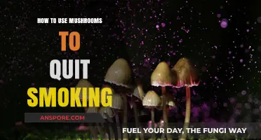 Mushrooms as a Natural Aid to Quit Smoking: A Guide