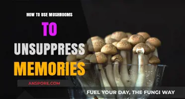Unlocking Forgotten Memories: The Power of Mushrooms in Recall Therapy