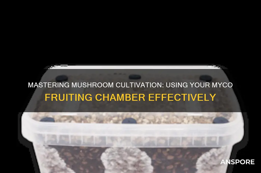 how to use myco mushroom growing kit fruiting chamber