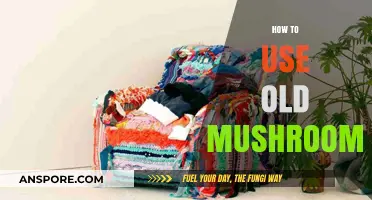 Creative Ways to Repurpose Old Mushrooms in Your Kitchen