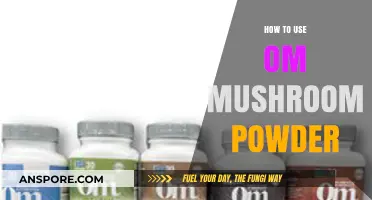 Unlocking Wellness: Creative Ways to Use Om Mushroom Powder Daily