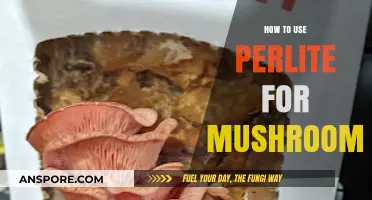 Boost Mushroom Growth: Perlite's Role in Optimal Substrate Preparation