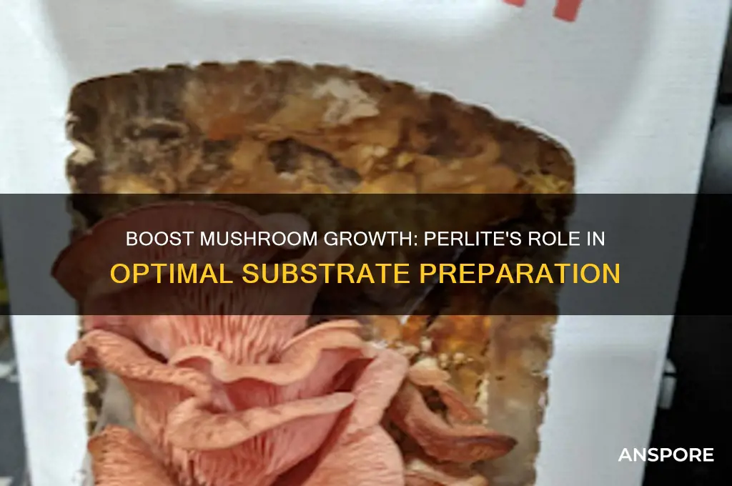 how to use perlite for mushrooms