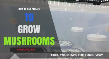 Boost Mushroom Growth: Perlite Techniques for Optimal Substrate Conditions
