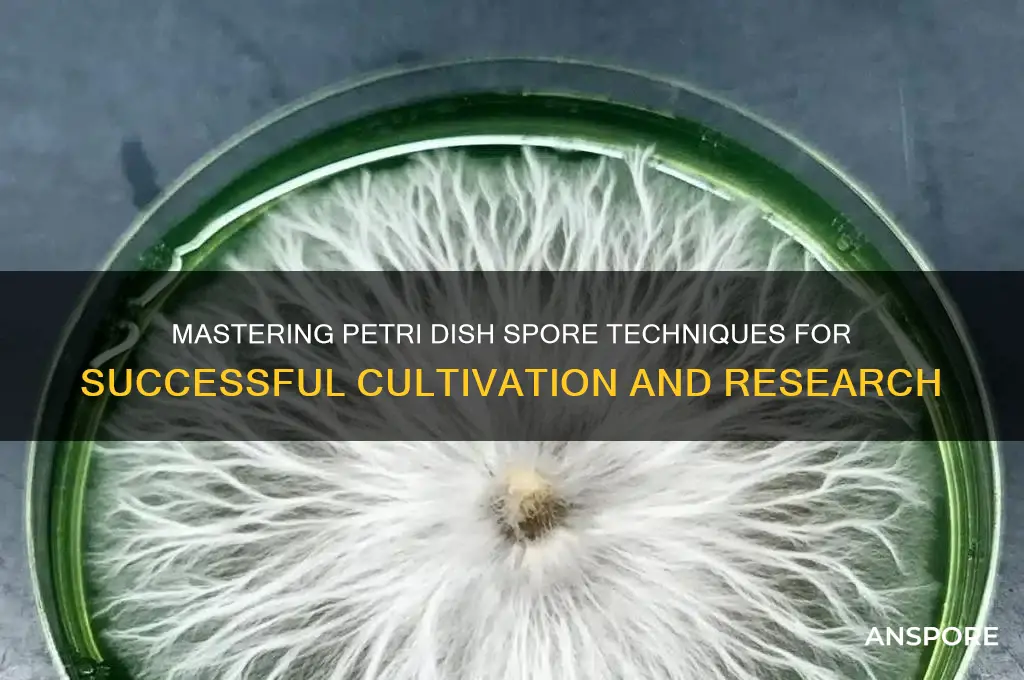 how to use petri dish spores