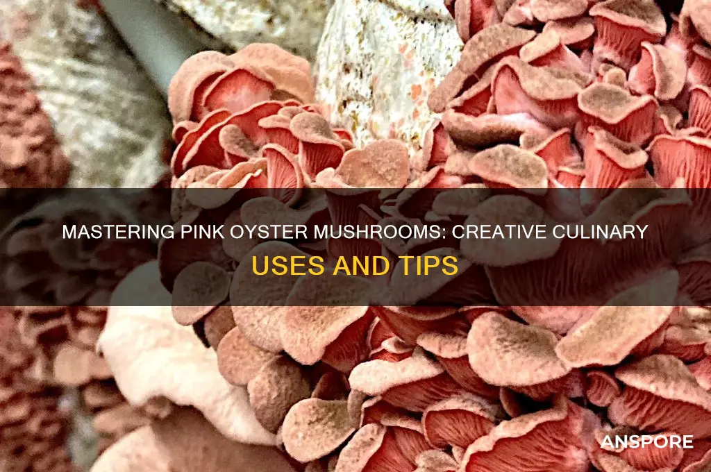how to use pink oyster mushrooms