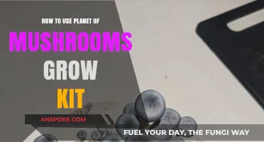 Mastering Mushroom Cultivation: A Guide to Using Your Planet of Mushrooms Grow Kit
