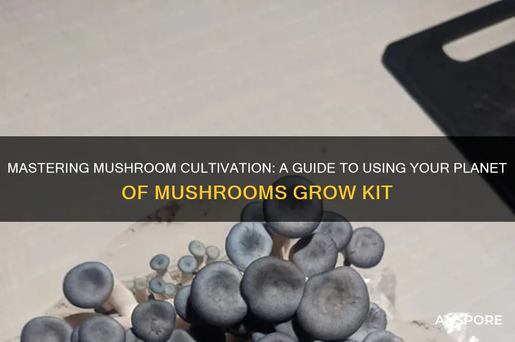 how to use planet of mushrooms grow kit