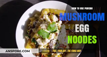 Porcini Mushroom Egg Noodles: Creative Recipes and Cooking Tips