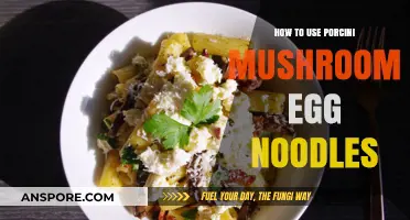 Elevate Your Meals: Porcini Mushroom Egg Noodles Recipe Guide