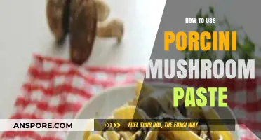 Elevate Your Dishes with Porcini Mushroom Paste: A Flavorful Guide