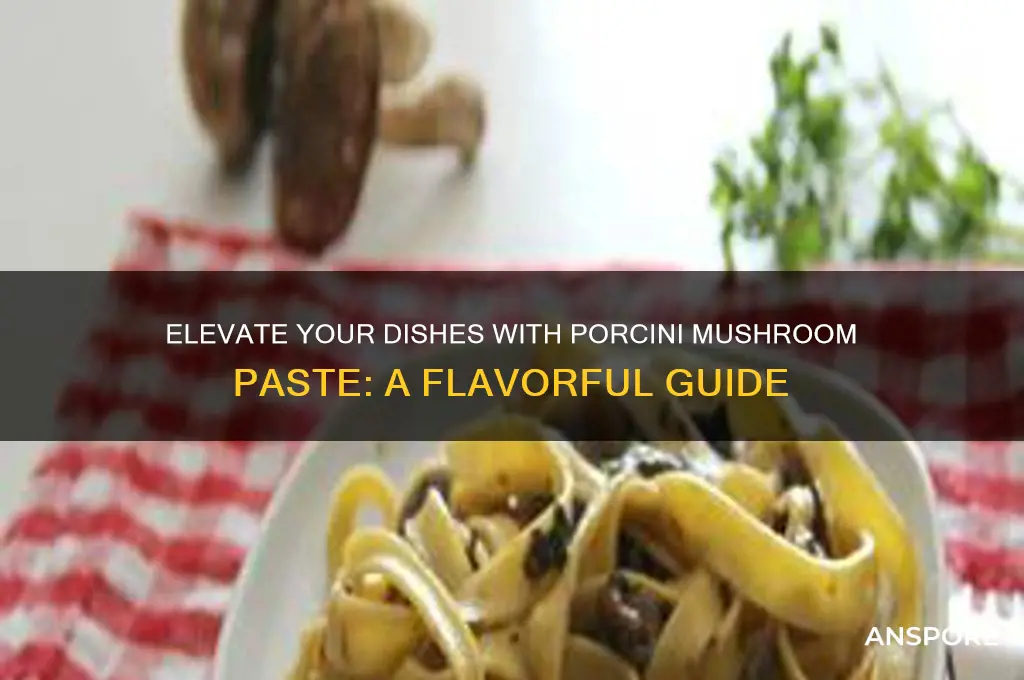 how to use porcini mushroom paste