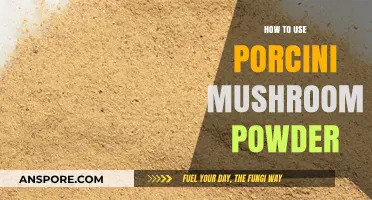 Unlocking Umami: Creative Ways to Use Porcini Mushroom Powder