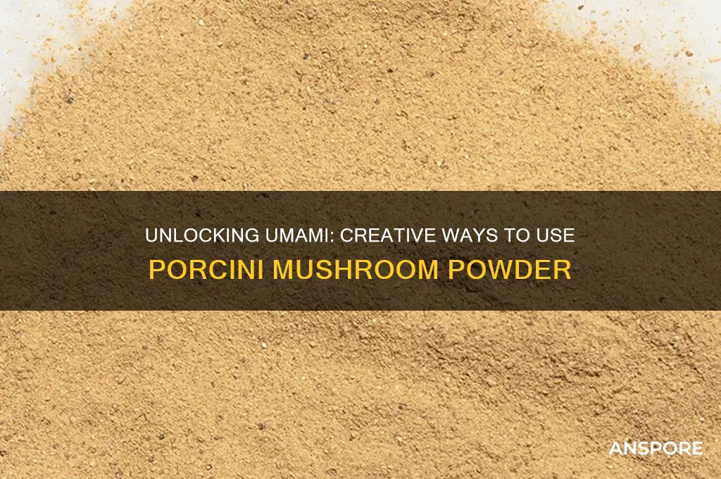 how to use porcini mushroom powder