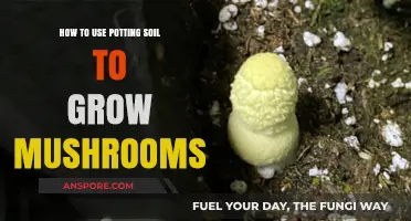 Master Mushroom Growing with Potting Soil: A Simple Guide