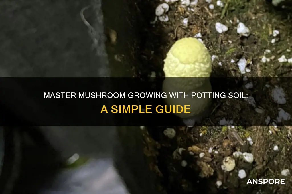 how to use potting soil to grow mushrooms