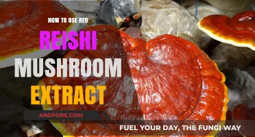 Unlocking Wellness: Effective Ways to Use Red Reishi Mushroom Extract