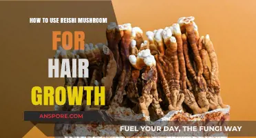Reishi Mushroom Benefits: Boost Hair Growth Naturally with This Superfood