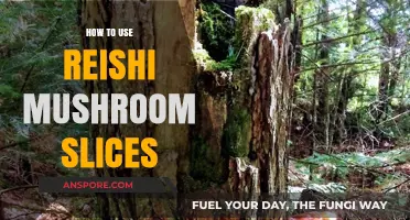 Unlocking Wellness: Simple Ways to Use Reishi Mushroom Slices
