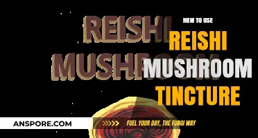 Unlock Reishi's Benefits: A Guide to Using Mushroom Tincture
