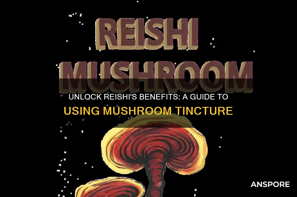how to use reishi mushroom tincture