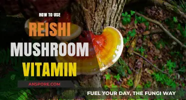 Unlocking Wellness: How to Use Reishi Mushroom Vitamin Effectively