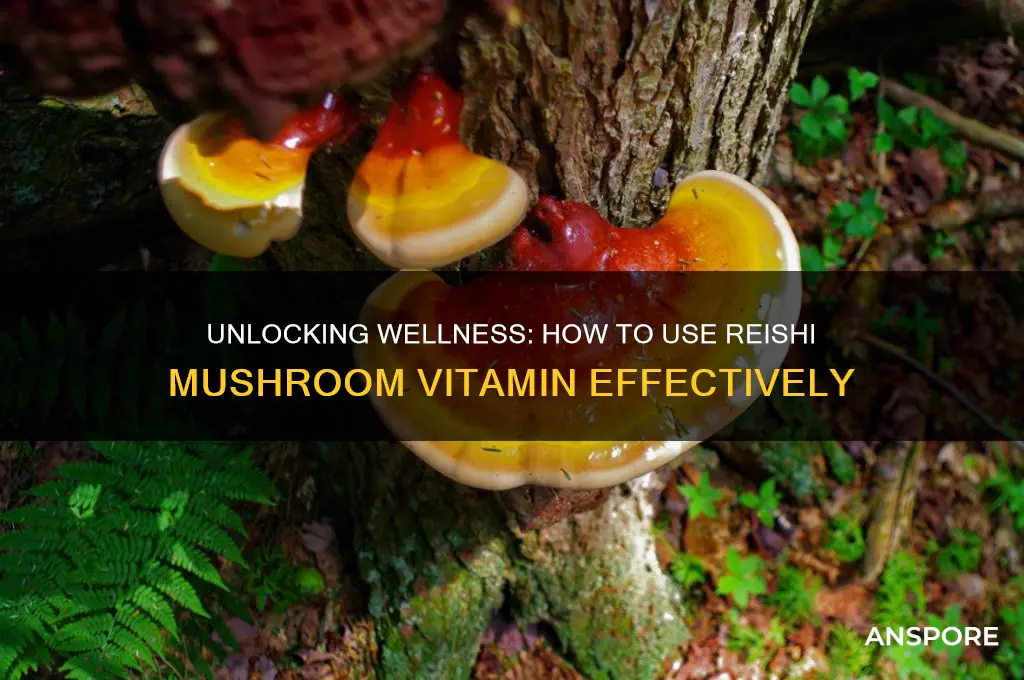 how to use reishi mushroom vitamin