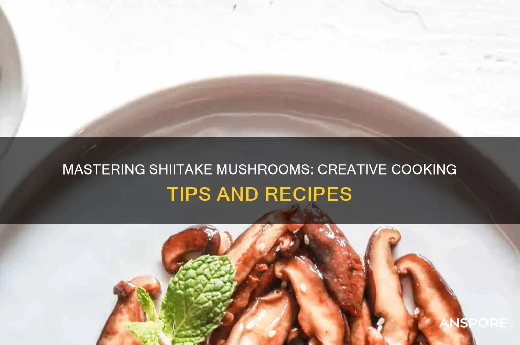 how to use shiitake mushrooms in cooking