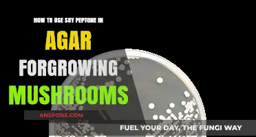 Using Soy Peptone in Agar: A Guide to Growing Mushrooms