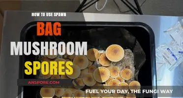 Mastering Mushroom Cultivation: A Guide to Using Spawn Bags
