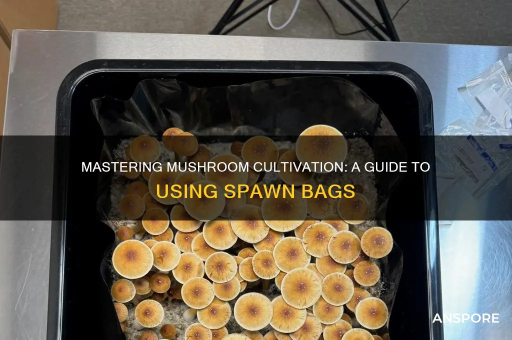 how to use spawn bag mushroom spores
