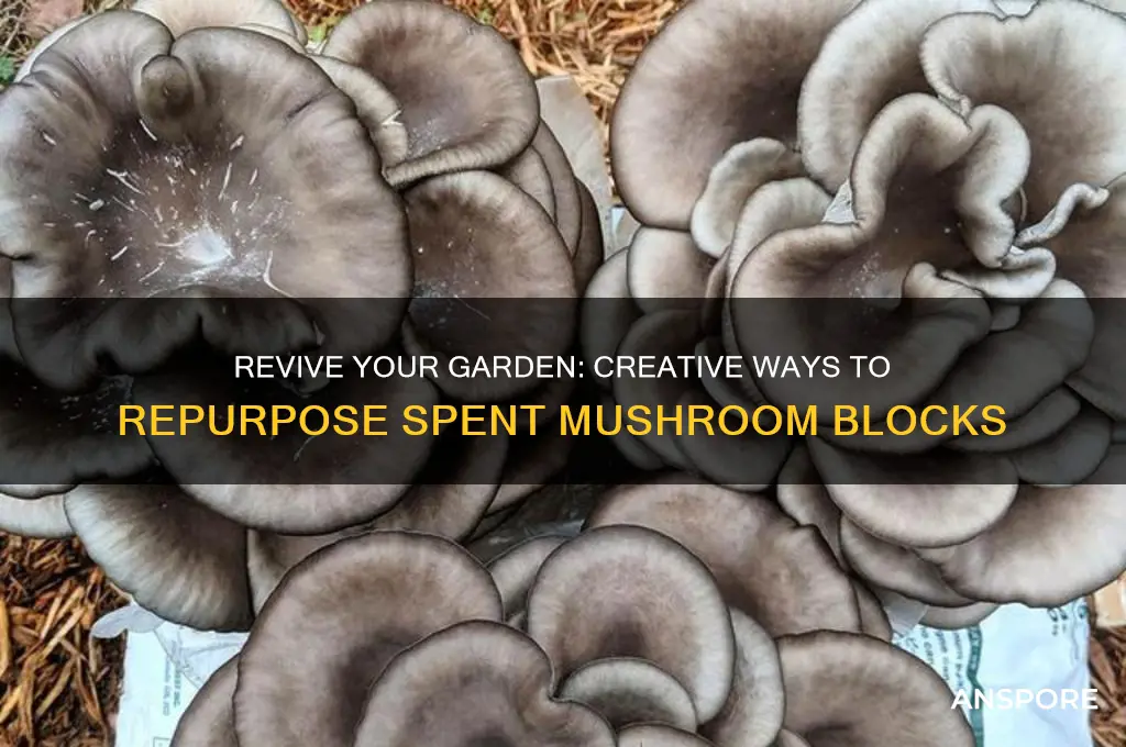 how to use spent mushroom blocks