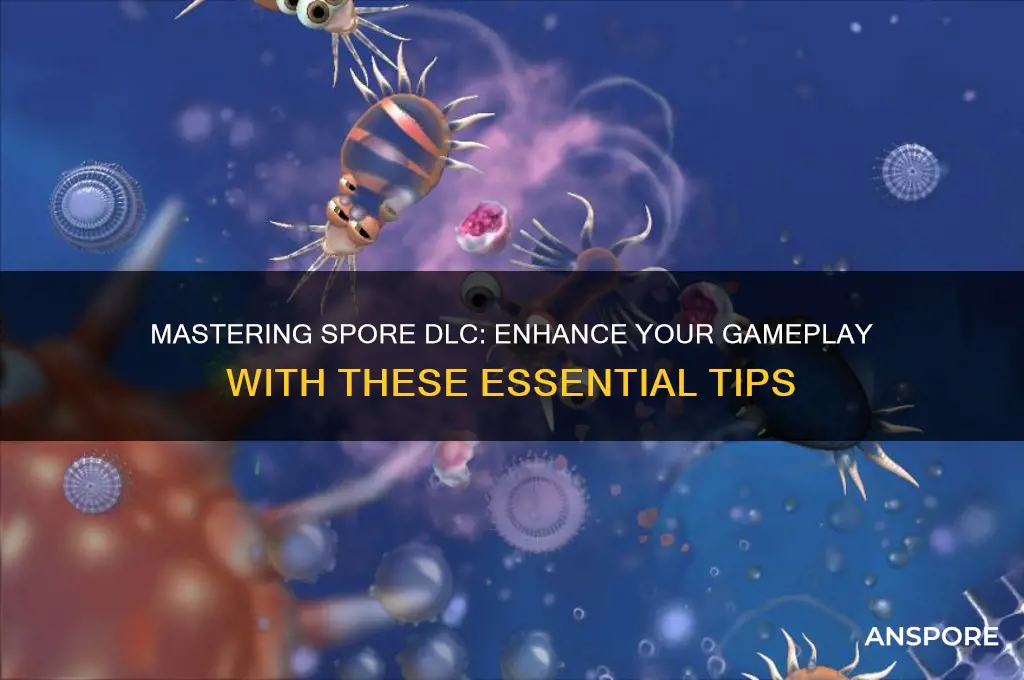 how to use spore dlc