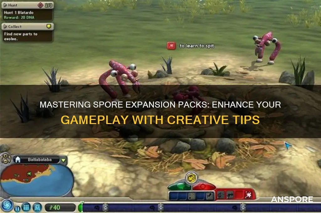 how to use spore expansion packs