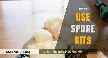 Mastering Mushroom Cultivation: A Beginner's Guide to Using Spore Kits