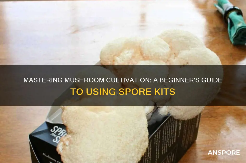 how to use spore kits