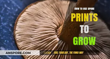 Mastering Mushroom Cultivation: Using Spore Prints for Successful Growth