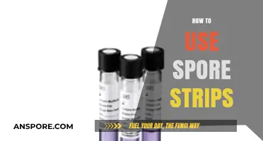 Mastering Spore Strips: A Step-by-Step Guide for Effective Use