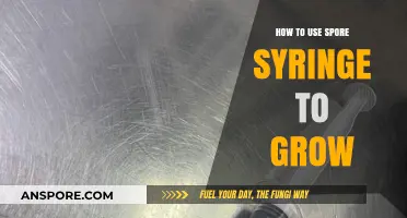 Mastering Mushroom Cultivation: A Guide to Using Spore Syringes