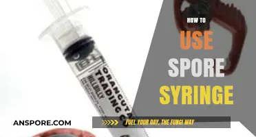 Mastering Mushroom Cultivation: A Step-by-Step Guide to Using Spore Syringes