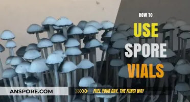 Mastering Spore Vial Techniques: A Step-by-Step Guide for Successful Cultivation