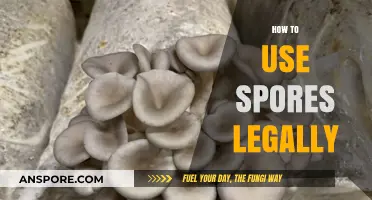 Legal Cultivation: Safely and Responsibly Using Spores for Research and Study